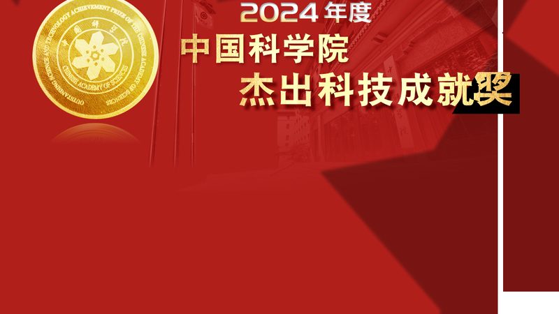 OA系统效率提升：参数配置的关键要素**